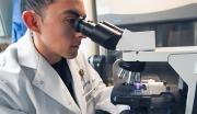 A United States Navy Sailor examines a lab sample under a high-powered microscope.